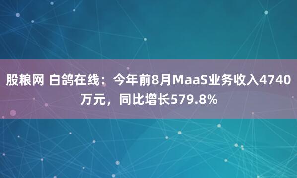 股粮网 白鸽在线：今年前8月MaaS业务收入4740万元，同比增长579.8%